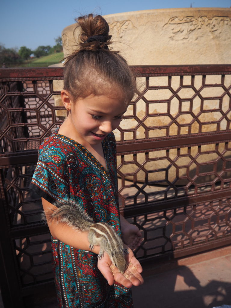 Le Fort rouge - Agra - La Famille Nomade - Voyage en Inde du Nord avec des enfants