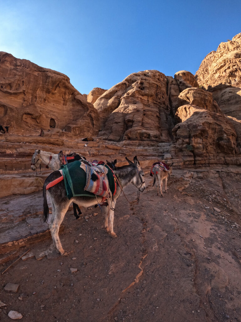 Al Deir - le monastère - Petra - Jordanie - voyage en famille avec enfants - La Famille nomade