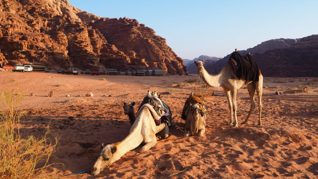 Wadi Rum Firecamp - Desert du Wadi Rum - Jordanie - voyage en famille avec enfants -Blog La Famille nomade