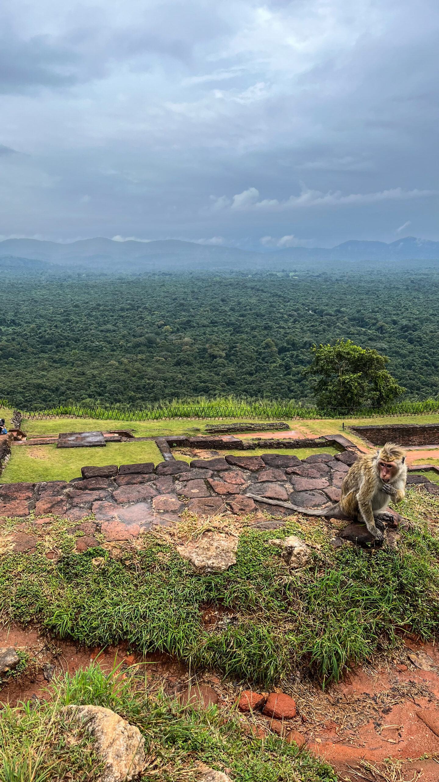 Voyager au Sri Lanka avec les enfants - La Famille Nomade Blog voyage
Sigiriya